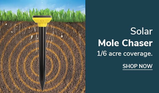 yellow Solar Mole Chaser (1/6 acre) in use in yard - 1/6 acre coverage - shop now