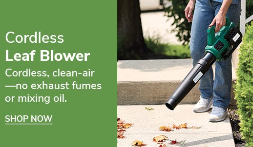 Someone using the Cordless Leaf BLower