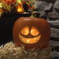 Animated Talking Pumpkin thumbnail