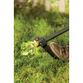 product removing weeds up close  thumbnail