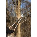 Telescopic Anvil Loppers in use thumbnail