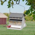 Squirrel-Proof Farmhouse Bird Feeder thumbnail