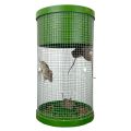Live Catch Mouse Trap    thumbnail