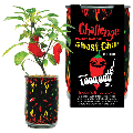 All Three World's Hottest Peppers Growing Kit  thumbnail