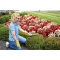 Cordless Grass & Hedge Trimmer thumbnail