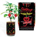 All Three World's Hottest Peppers Growing Kit  thumbnail