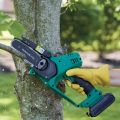 pruner saw cutting tree limbs  thumbnail