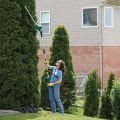 model using the trimmer on tall hedges  thumbnail