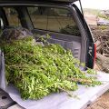Heavy Duty Cargo Liner thumbnail