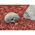 Real Rock Key Hiding Stone thumbnail