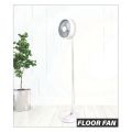My Foldaway  Fan thumbnail