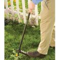 product in use removing weeds  thumbnail
