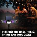 Solar 2-in-1 Bug Zapper Path Light  thumbnail