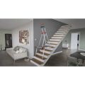 scaffold platform and ladder on house steps  thumbnail
