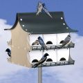 Purple Martin Birdhouse (12 room) with Pole thumbnail