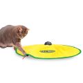 Cats Meow Interactive Toy  thumbnail