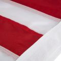 Telescoping Flagpole with Flag (17 ft. Pole - 3'x5' Flag) thumbnail