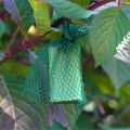 deer repellent hanging from branch up close  thumbnail