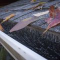  GutterBrush Leaf Guard  thumbnail
