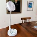 My Foldaway  Fan thumbnail
