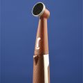 brush head  thumbnail