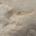 Sandstone thumbnail