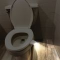 LumaLift Motion Sensing Light    thumbnail