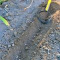 Extreme Weeder thumbnail
