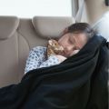 12v Heated Blanket thumbnail