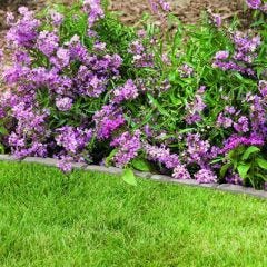 quick edge outside in flower bed 