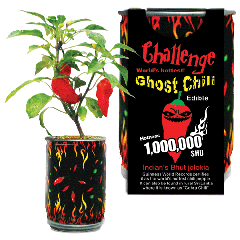 Ghost Chili Growing Kit 