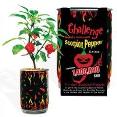 Trinidad Scorpion Growing Kit 