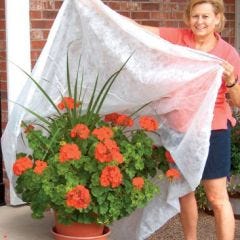 Frost Protek Cover (Large)