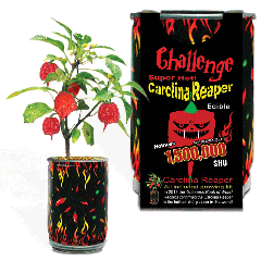 Carolina Reaper Growing Kit 