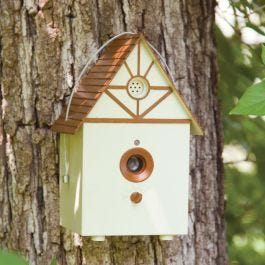 bark birdhouse