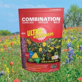 wild flower 9974t_background.jpg