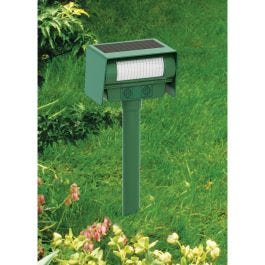 Motion Activated Solar Animal Repeller (30') Motion Activated Solar Animal Repeller (30')