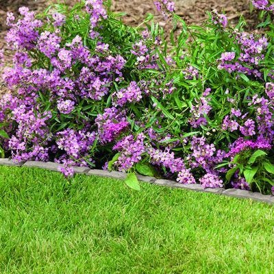 quick edge outside in flower bed 