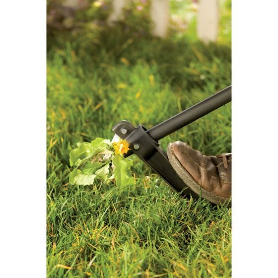 product removing weeds up close 
