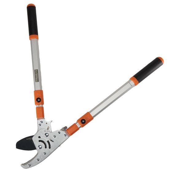 Telescopic Anvil Loppers open