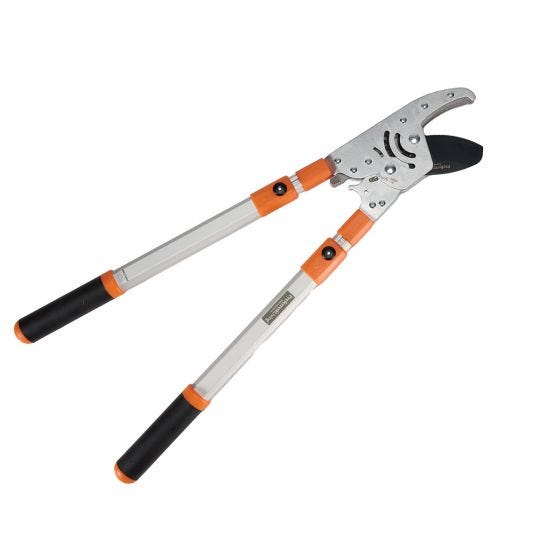 Telescopic Anvil Loppers on white Telescopic Anvil Loppers on white