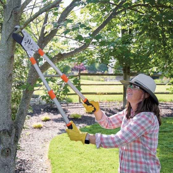 model using the loppers on tree branches 
