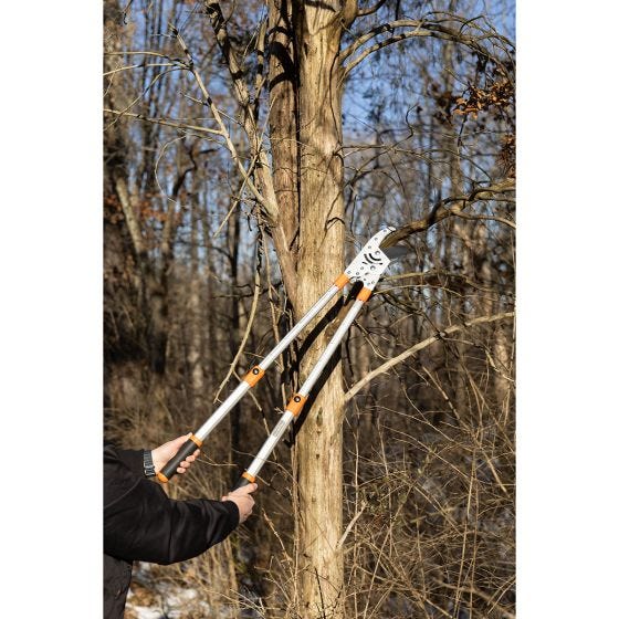 Telescopic Anvil Loppers in use
