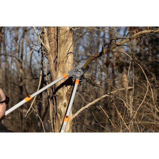 Telescopic Anvil Loppers in use