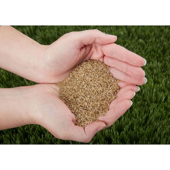 Premium Ultra Turf Grass Seed (Northern Climate) 