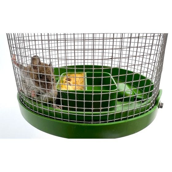 Live Catch Mouse Trap   