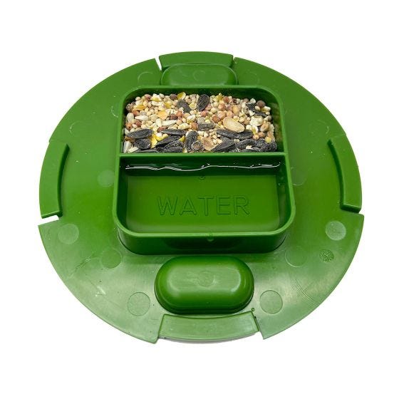 Live Catch Mouse Trap   