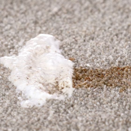 Bullshot Carpet Stain Remover   
