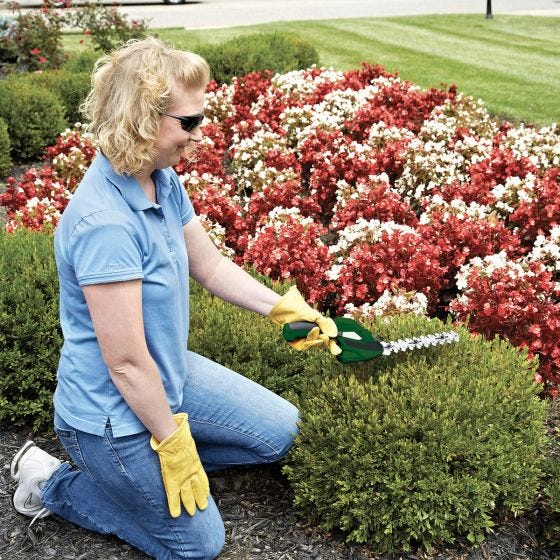 woman using trimmer on hedges 