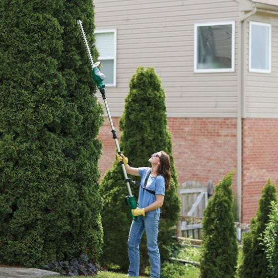 model using the trimmer on tall hedges 